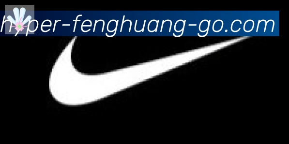 凤凰体育合作伙伴